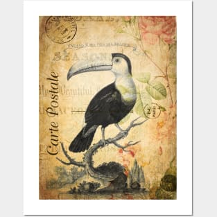 The Toucan - Vintage French Postcard Posters and Art